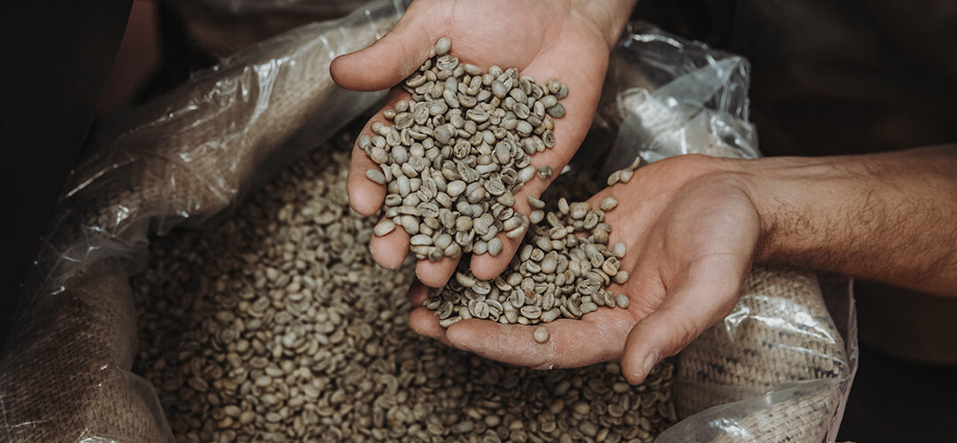 Arabica vs. Robusta: Unterschiede, Geschmack & Verwendung