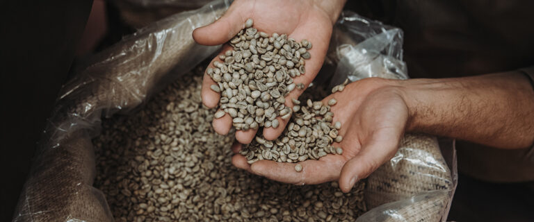 Arabica vs. Robusta: Unterschiede, Geschmack & Verwendung