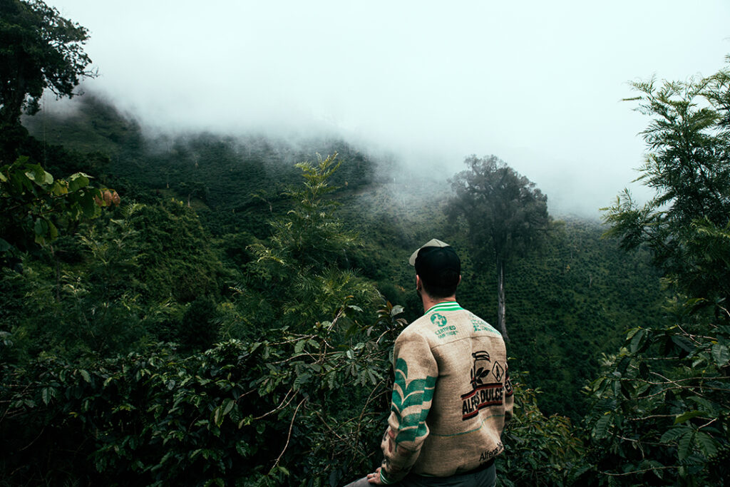 Blick über die Kaffeeplantagen in Chiapas Mexiko auf der Finca Fulda Kaffee Mexiko im Hochland