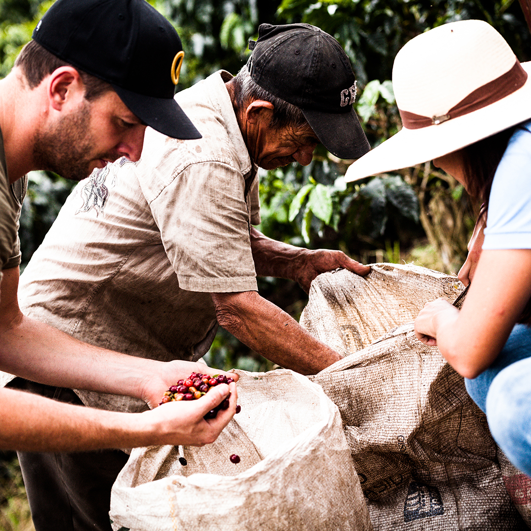 Schild mit Aufschrift Finca Fulda auf der Kaffeefarm in Mexiko
