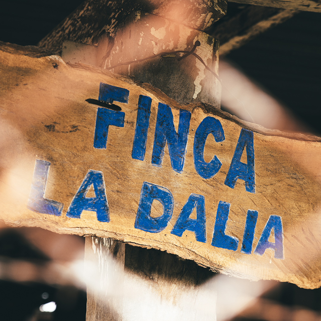 Schild mit Aufschrift Finca Fulda auf der Kaffeefarm in Mexiko
