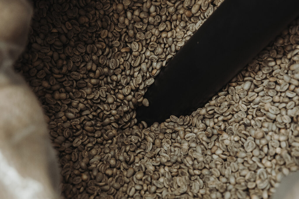 Kaffee Röstgrade entstehen aus grünem Rohkaffee im Trommelröster