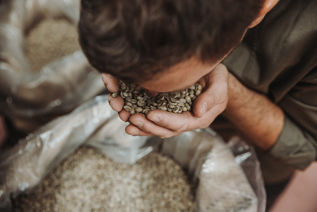 Person riecht an Rohkaffeebohnen Qualitätskontrolle Kaffee Arabica Robusta Unterschied