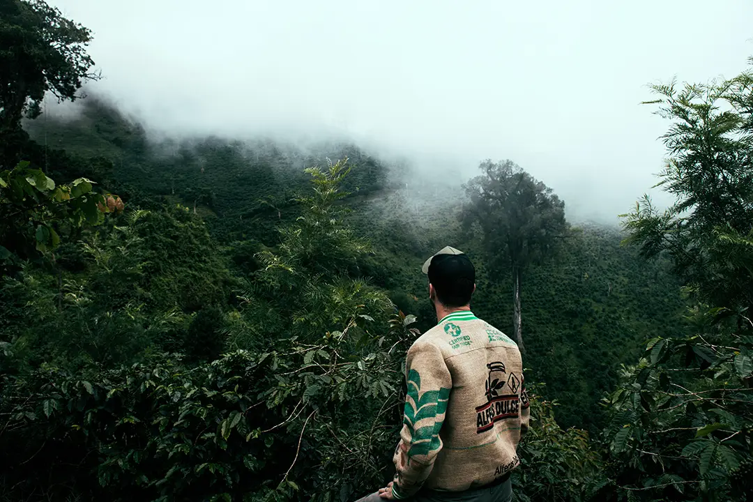Blick über die Kaffeeplantagen in Chiapas Mexiko auf der Finca Fulda Kaffee Mexiko im Hochland