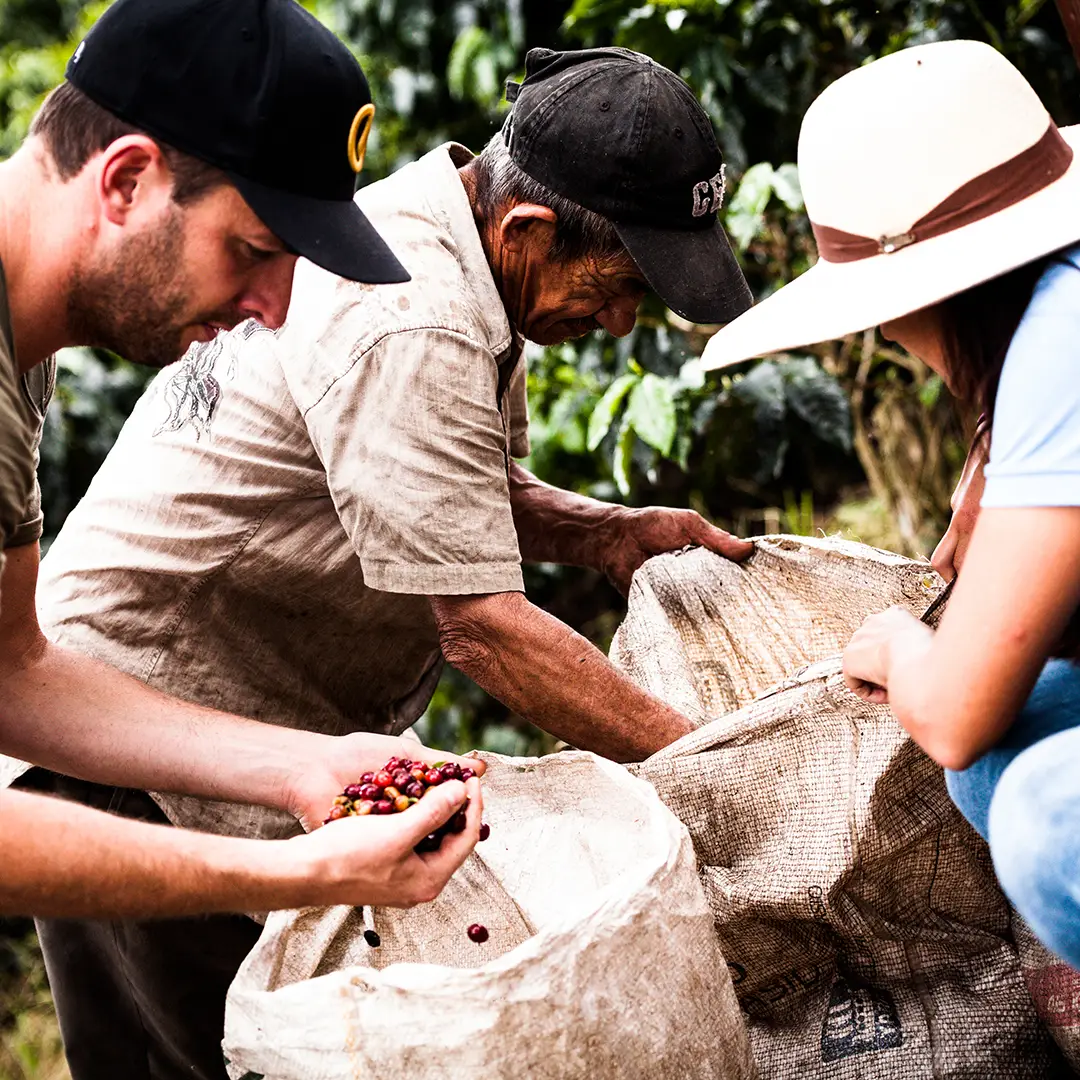 Schild mit Aufschrift Finca Fulda auf der Kaffeefarm in Mexiko