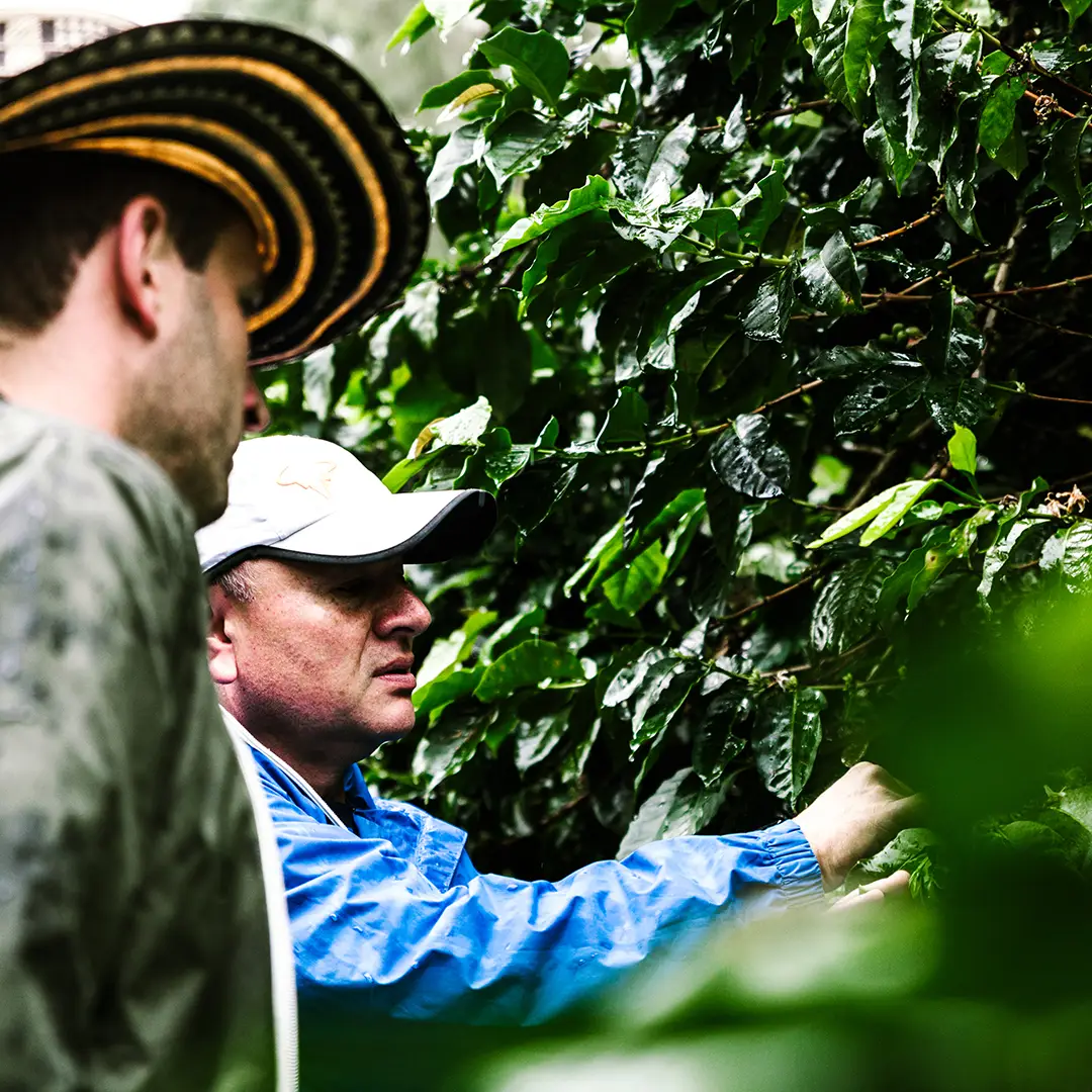 Schild mit Aufschrift Finca Fulda auf der Kaffeefarm in Mexiko