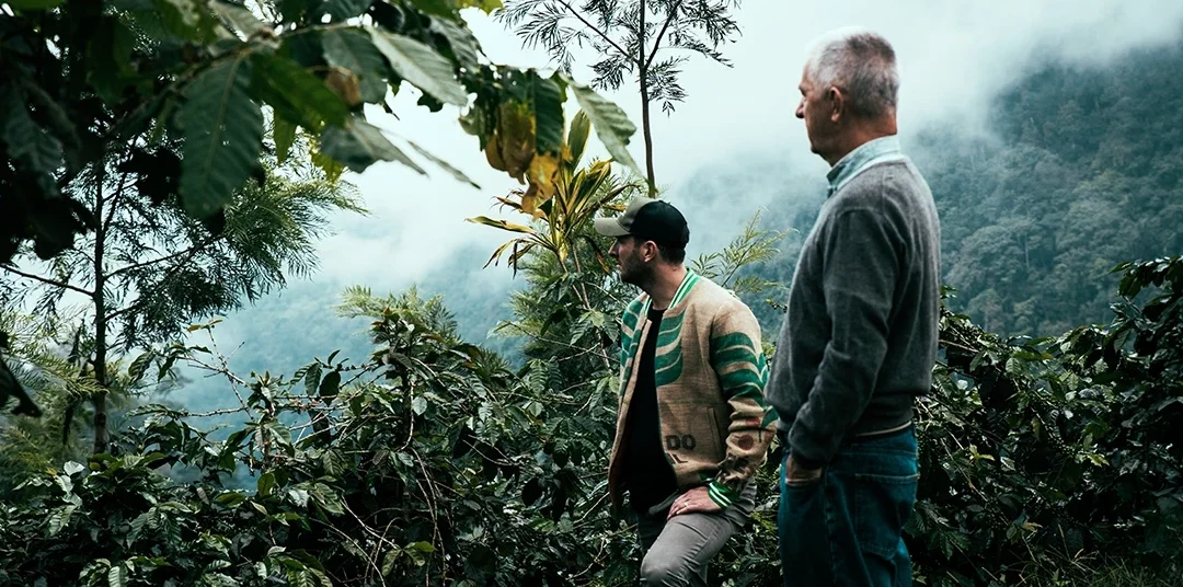 Direct Trade vs. Fair Trade: Warum wir auf persönliche Beziehungen statt auf Siegel setzen
