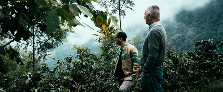 Direct Trade vs. Fair Trade: Warum wir auf persönliche Beziehungen statt auf Siegel setzen