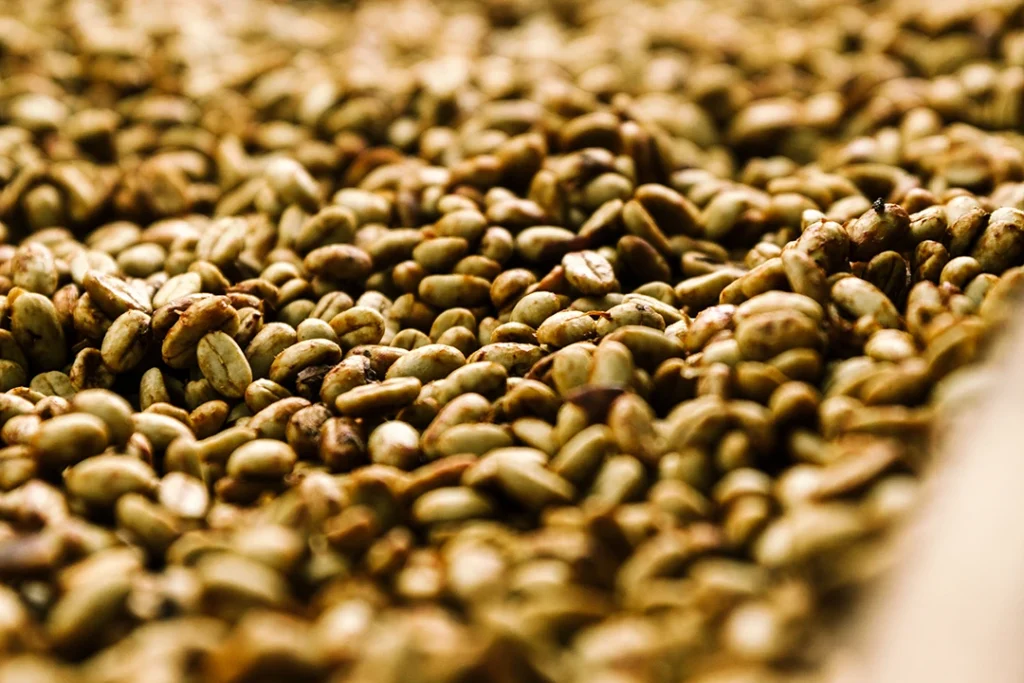 Kaffeebohnen mit verbleibender Mucilage während der Trocknung im Honey Process.