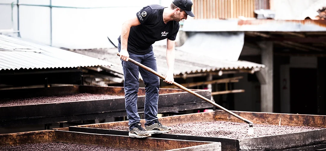 Kaffeeaufbereitung – So entsteht der Geschmack deines Kaffees