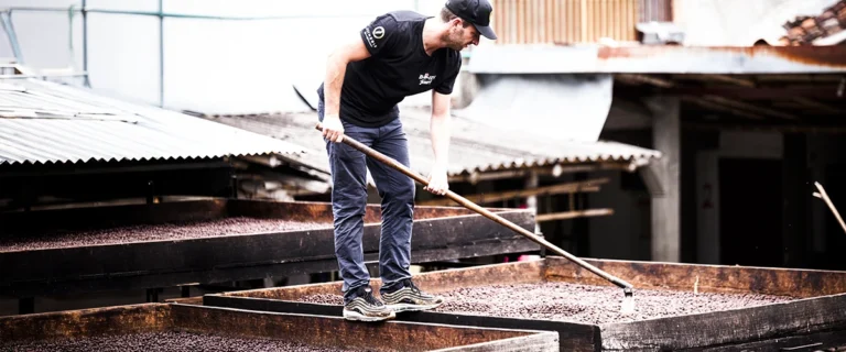 Kaffeeaufbereitung – So entsteht der Geschmack deines Kaffees