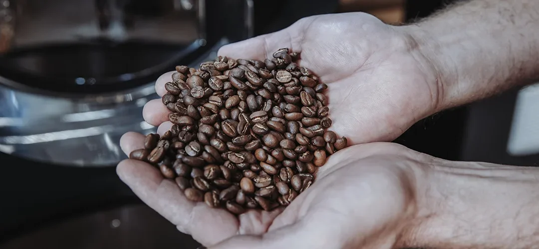 Single Origin vs. Blend – Was ist der Unterschied?