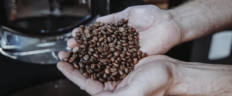 Single Origin vs. Blend – Was ist der Unterschied?