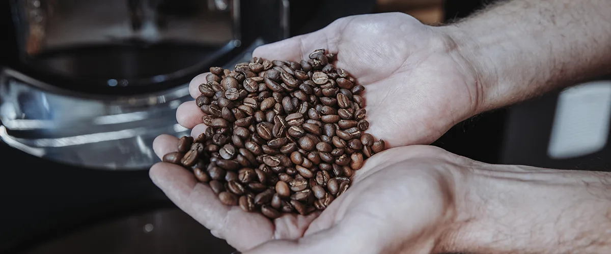 Single Origin Kaffee und Blend im Vergleich – geröstete Kaffeebohnen in zwei Händen als Symbol für unterschiedliche Kaffeearten